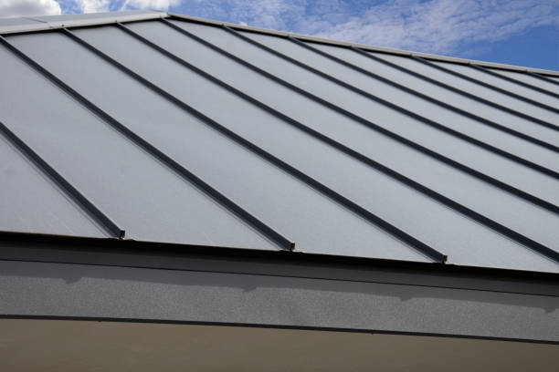 Best Skylight Installation and Repair  in Galesburg, MI